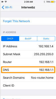 dns